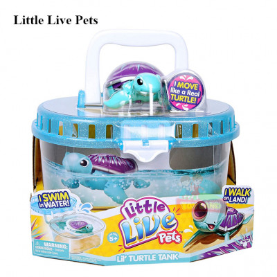 Little Live Pet Turtle : Shine The Crystal Turtle